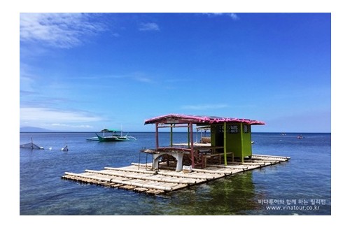 바탕가스 마따붕까이 호핑투어 골드피쉬 (BATANGAS MATABUNGKAY HOPING TOUR GOLDFISH)