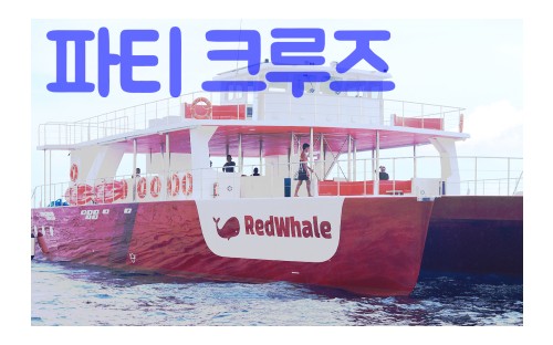 파티 크루즈 레드웨일 보라카이 (Party Cruise By RED WHALE BORACAY)